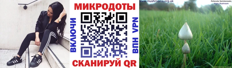 хочу   Новая Усмань  Псилоцибиновые грибы Magic Shrooms 