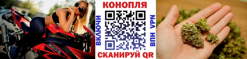 Шишки марихуана гибрид  Новая Усмань 